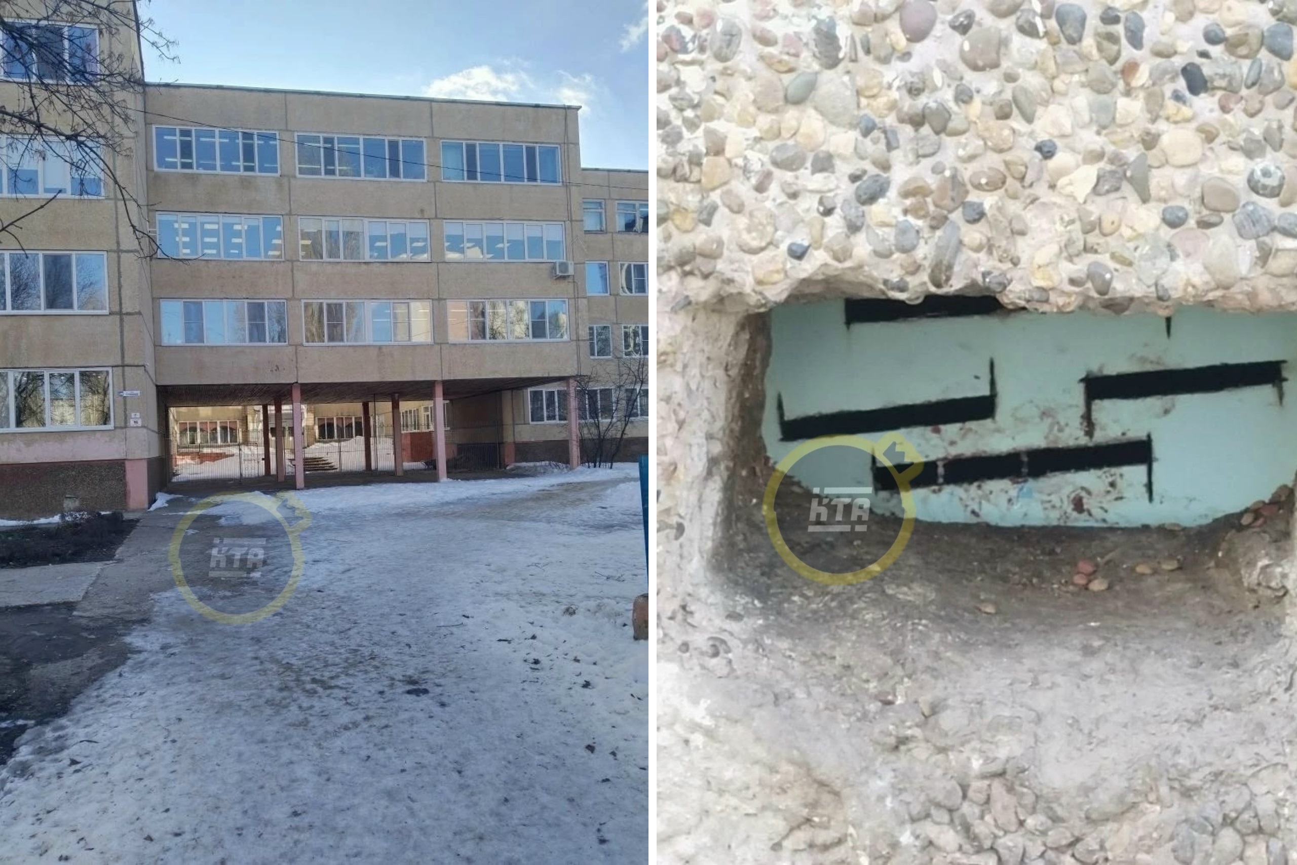 В Балакове спасли замурованных в школьном подвале кошек В Балакове спасли замурованных в школьном подвале кошек